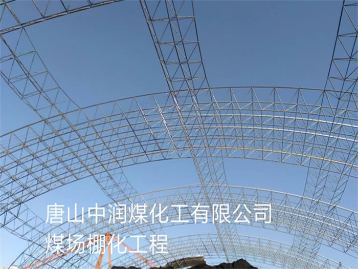 津南中润煤化工有限公司煤场棚化工程